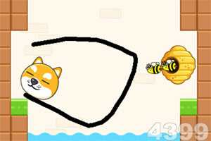 奔跑吧你的世界