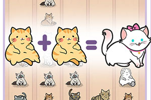 开元277棋牌app下载