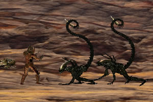 匈牙利外长：即日起逐步停止向乌克兰输送天然气