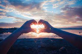 猫先生体育娱乐APP/手机APP下载