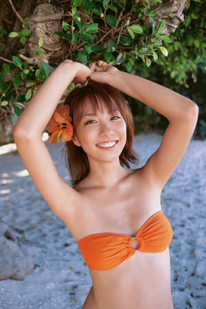 中国机器狼群巷战画面首次公开