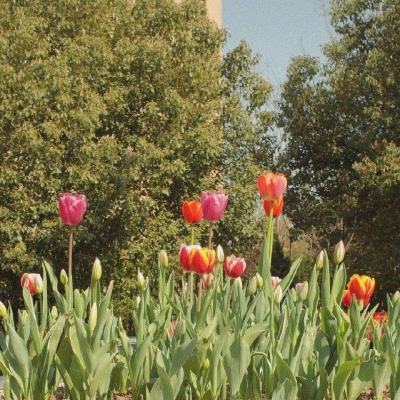 一年烧掉23个亿,地平线寻求错位突围