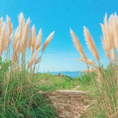 特朗普:伊朗送出大礼 双方已就潜在协议部分内容达成一致