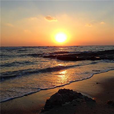 3月25日美股成交额前20:微软与英伟达联手开发面向核能的AI工具