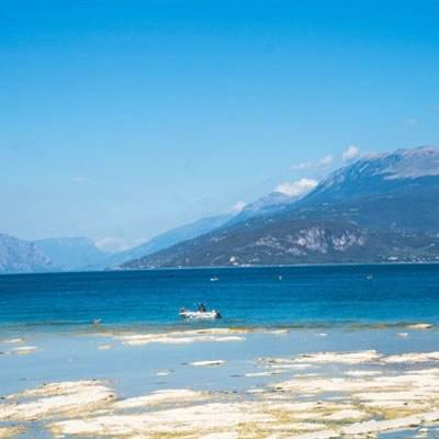 剑与远征破解版