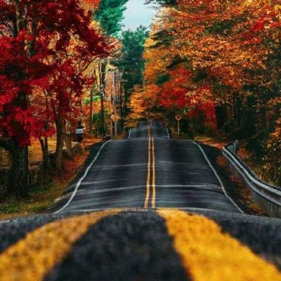 百亿龙头蓝焰控股,直线涨停!封单超12万手