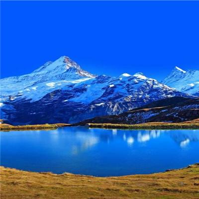 船舶驾驶模拟器