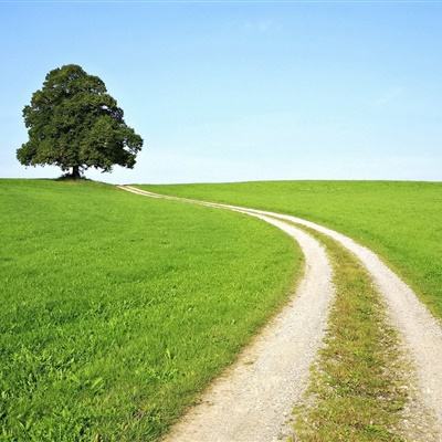 新车刚买就降价,车主该如何有效维权?