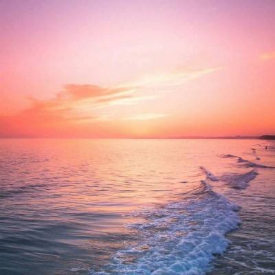 亚星贵宾会(官方)最新APP下载