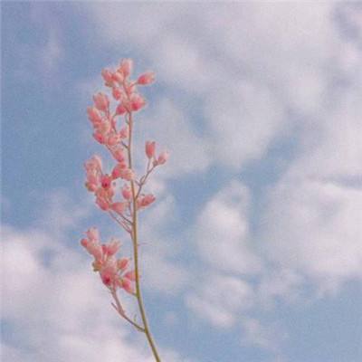 奥运女子组赛事仅限生理女性参加