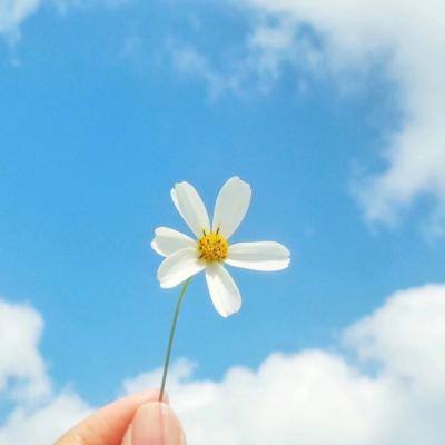 大族电机:以直驱核心技术赋能激...