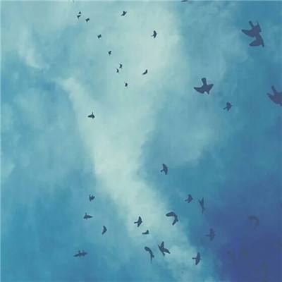 AG广东贵宾会(体育)官方网站