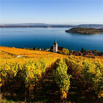 菲律宾kk体育娱乐APP/手机APP下载