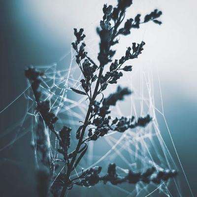 大手笔分红公司来了!这5家突破百亿,最高超300亿元