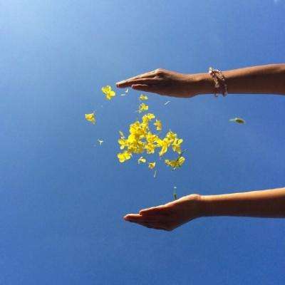 A股收评:沪指涨1.3%!光纤、电力股掀涨停潮,油气股低迷