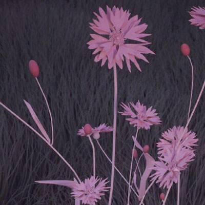 音频 | 格隆汇3.23盘前要点—港A美股你需要关注的都在这