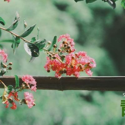 极速汽车模拟驾驶