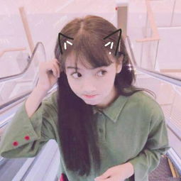 乐鱼体育官方入口能