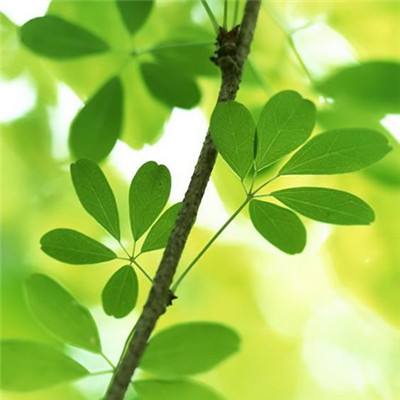 广东粤海饲料集团股份有限公司关于控股股东部分股份解除质押的公告