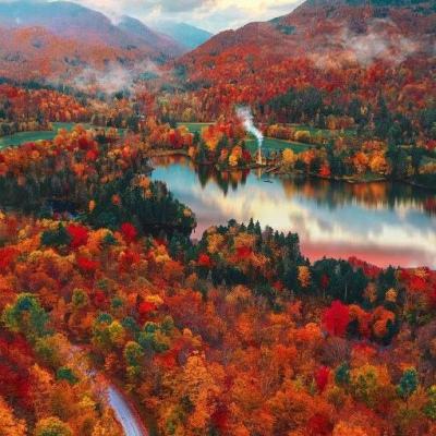 港股AI新叙事:拥抱“Token经济学”