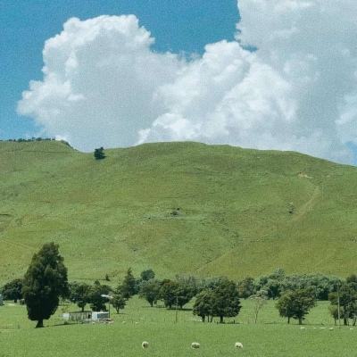 乐鱼体育直播在线直播截图