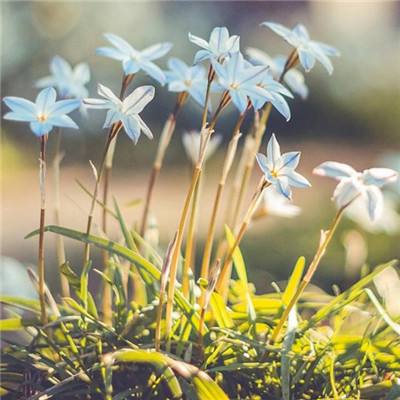 贝莱德总裁Kapito警告 投资者低估伊朗战争风险