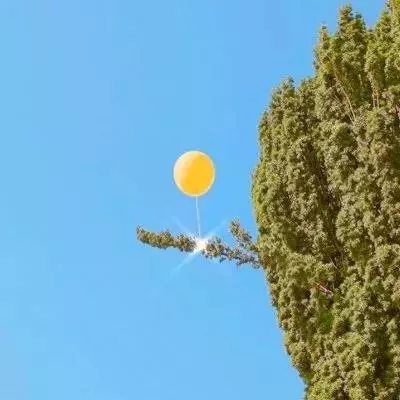 体育万博app下载亮点