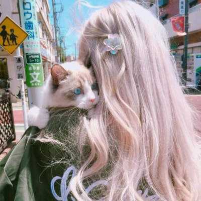 998彩票娱乐下载app/手机app下载