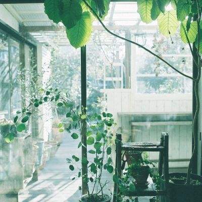 杨千嬅:岁月如歌,我不再需要“烈女”的勇丨专访