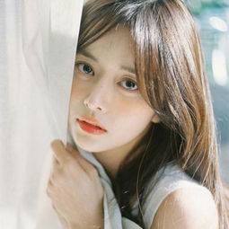 电装与丰田联合推进车载SoC研发 ...