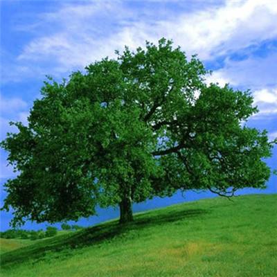 停球哥因偷戴项链被弃用!？未来恐很难重返国足