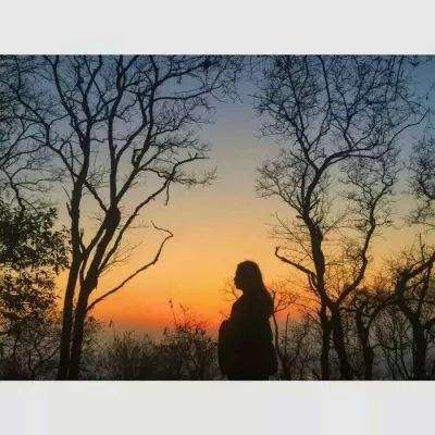 女子网络成瘾 平台被判赔600万美元