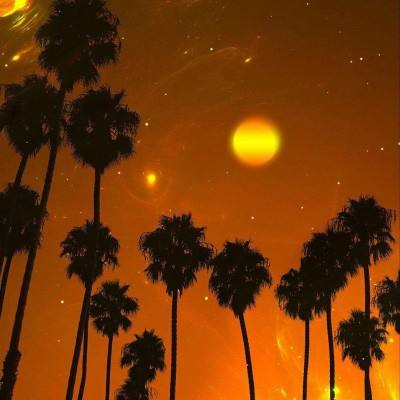 通达体育全站APP下载