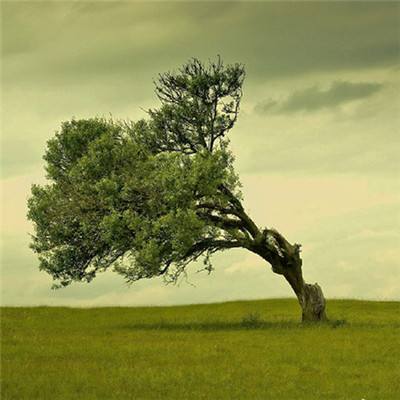 中国女排当心!世界女排新格局已出炉,超强3队各有优势