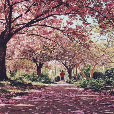 OpenAI将停止Sora视频生成服务 精简产品线