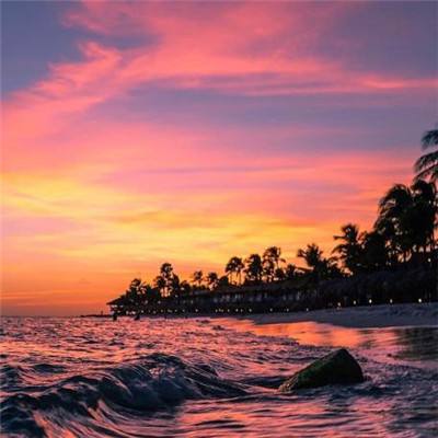 郝蕾:AI会替代90%的演员