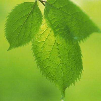 华体会娱乐体育app综合体育app下载