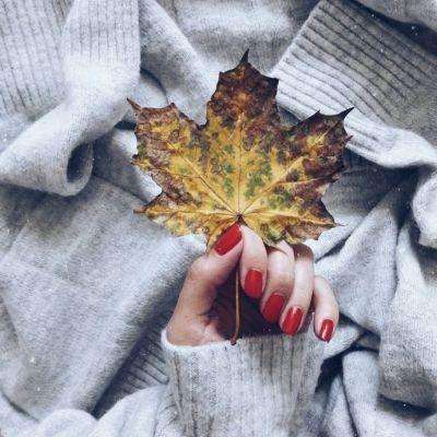 万能战车合金弹头无限