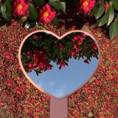 万博官方网站体育网站