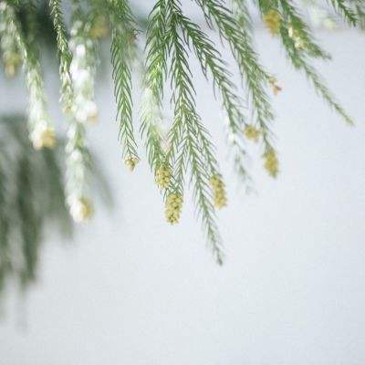 皇冠棋牌官网（官方）综合娱乐APP下载截图