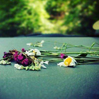 CGPS系列 带T型滑动导轨的平行...