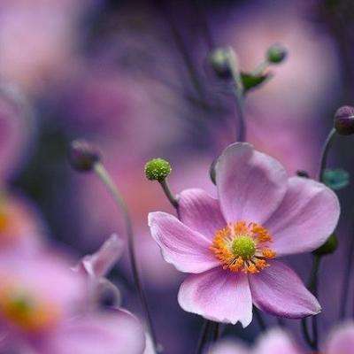 工行行长刘珺,最新发言!