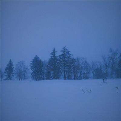 酷派集团回应公司独董郭敬晖被查：公司运转未受影响