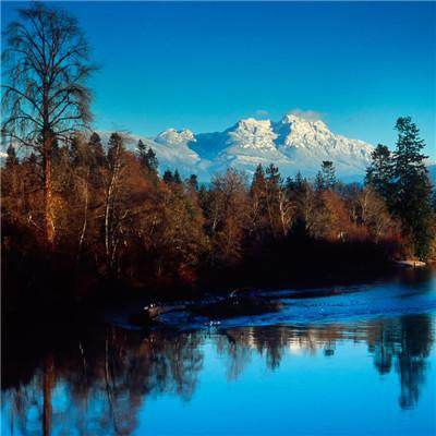 美国前中情局局长:比起特朗普我更信伊朗