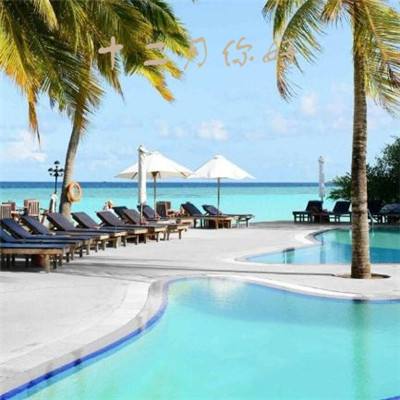 郝蕾:AI会替代90%的演员