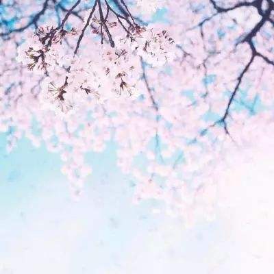 魔法门之英雄无敌王朝OL