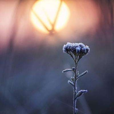 沙龙体育娱乐下载app/手机app下载