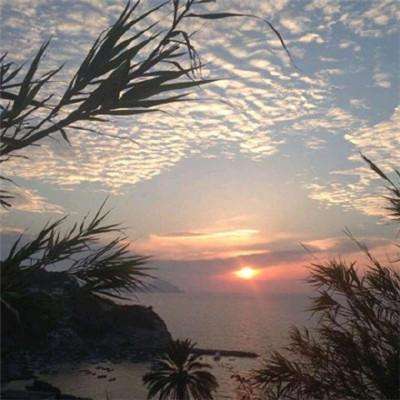 乐鱼app体育官方下载特色