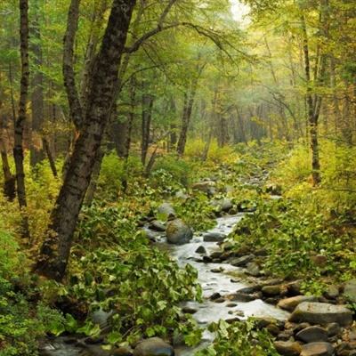 海底捞2025年净利润下滑14%