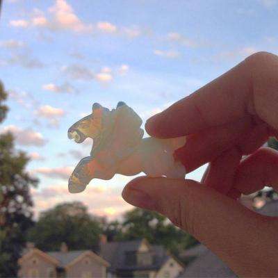 08vip在线体育安卓版